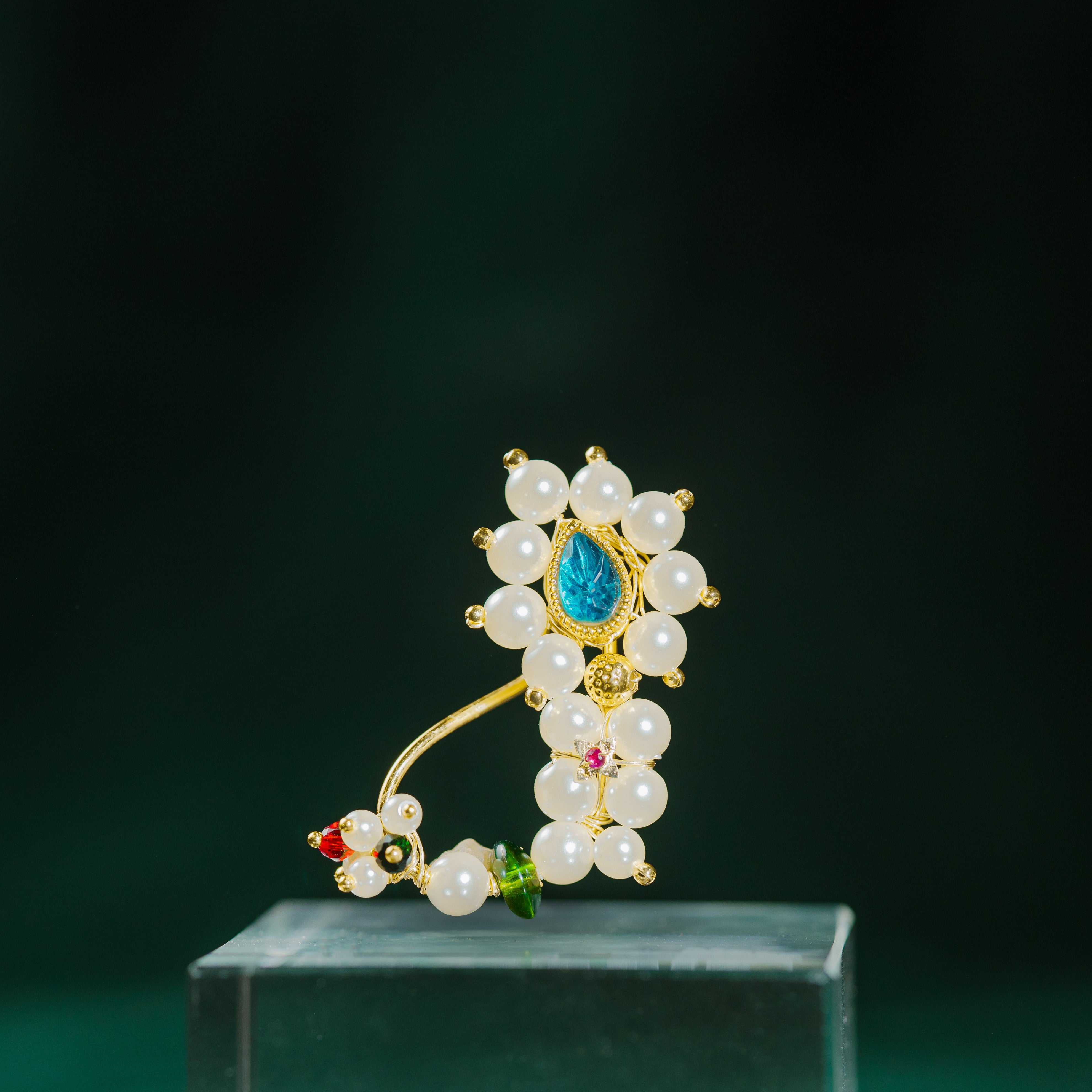 Paramparik Brahmani Nath